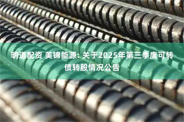 明道配资 美锦能源: 关于2025年第三季度可转债转股情况公告