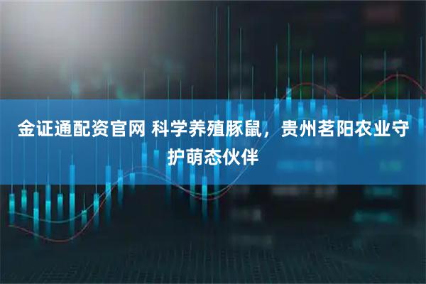 金证通配资官网 科学养殖豚鼠，贵州茗阳农业守护萌态伙伴