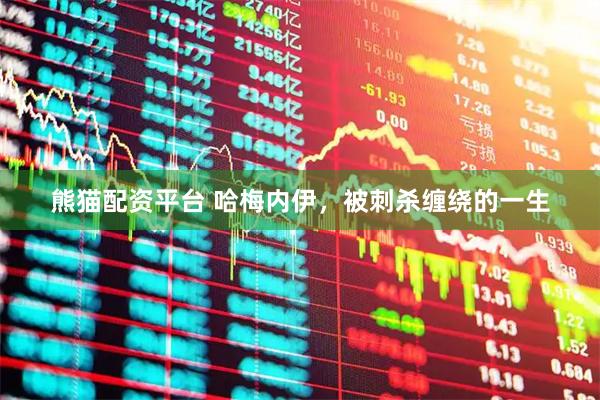 熊猫配资平台 哈梅内伊，被刺杀缠绕的一生